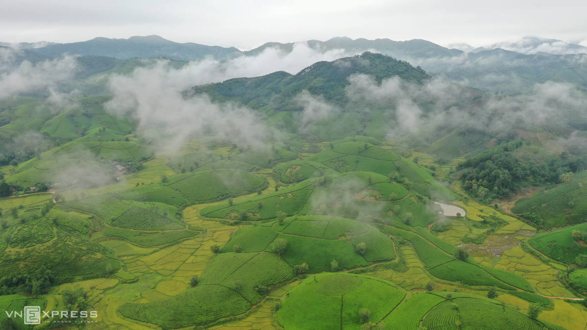 Thung lũng đồi chè đẹp nhất Việt Nam