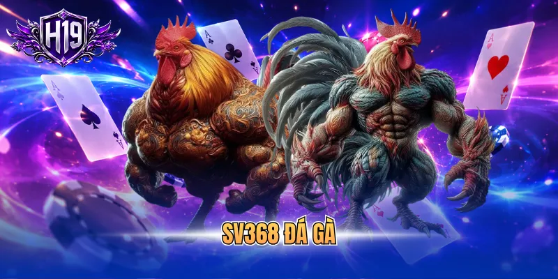 SV368 đá gà