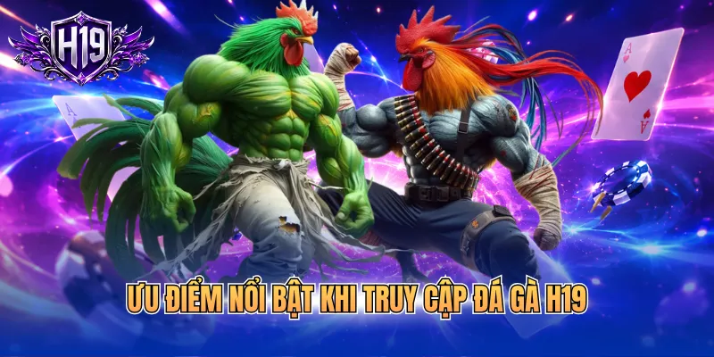 Ưu điểm nổi bật khi truy cập đá gà H19